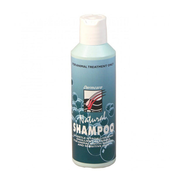 Dermcare – Natural Shampoo