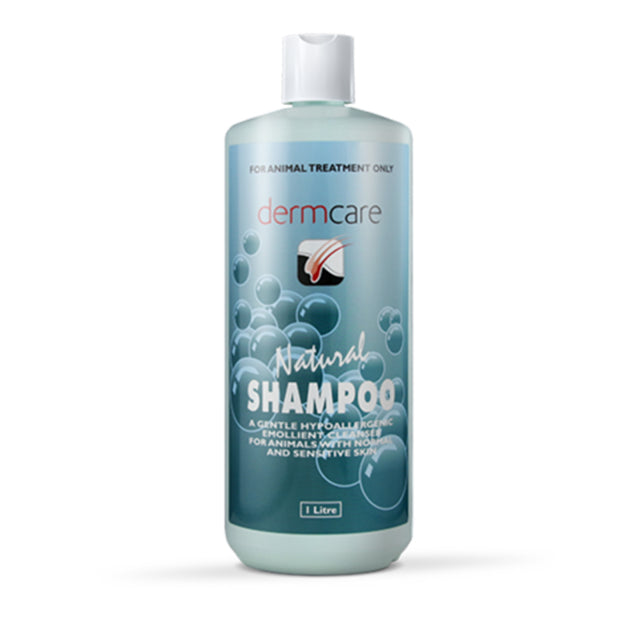Dermcare – Natural Shampoo